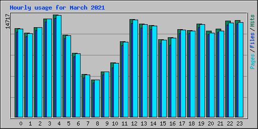 Hourly usage for March 2021