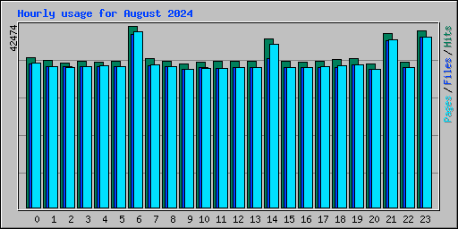 Hourly usage for August 2024