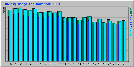 Hourly usage for November 2024