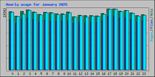 Hourly usage for January 2025