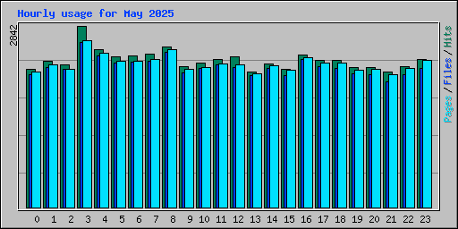 Hourly usage for May 2025