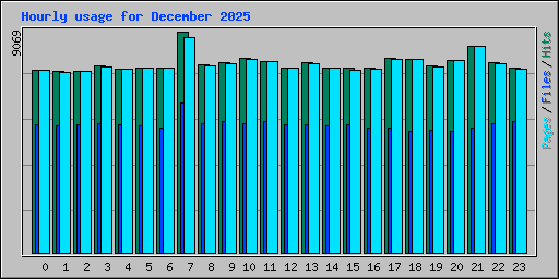 Hourly usage for December 2025