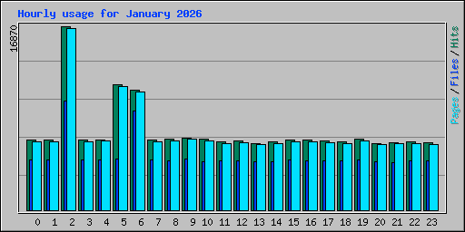 Hourly usage for January 2026