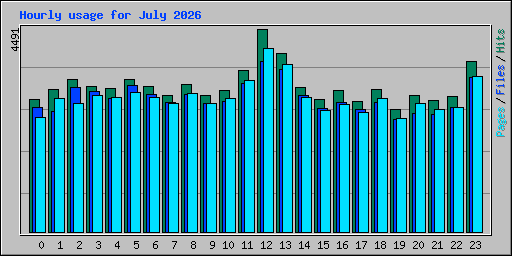 Hourly usage for July 2026